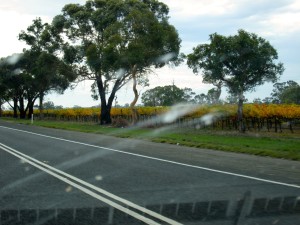 Up to Barossa 4-14-15-No.03