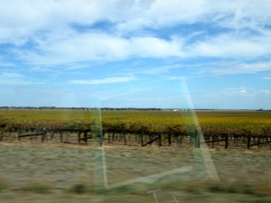 Up to Barossa 4-14-15-No.04