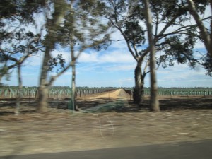 Up to Barossa 4-14-15-No.05